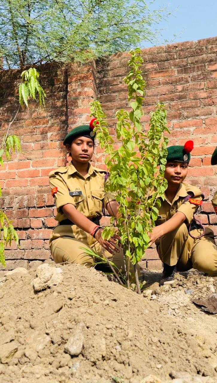 Clean & Green Initiatives