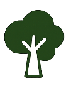 Tree Regeneration